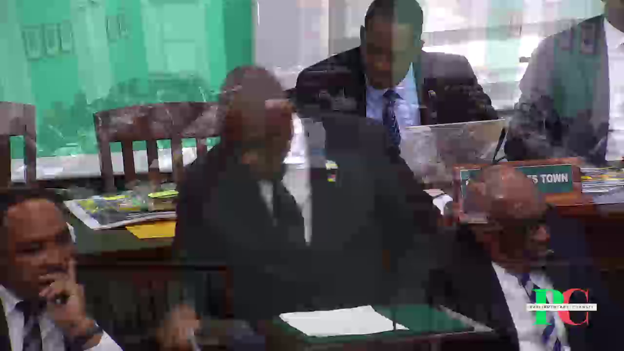 Watch The Parliamentary Channel