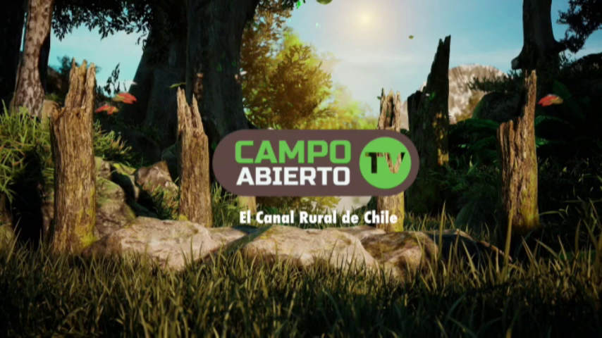 Watch Campo Abierto TV