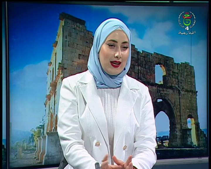 Watch TV4