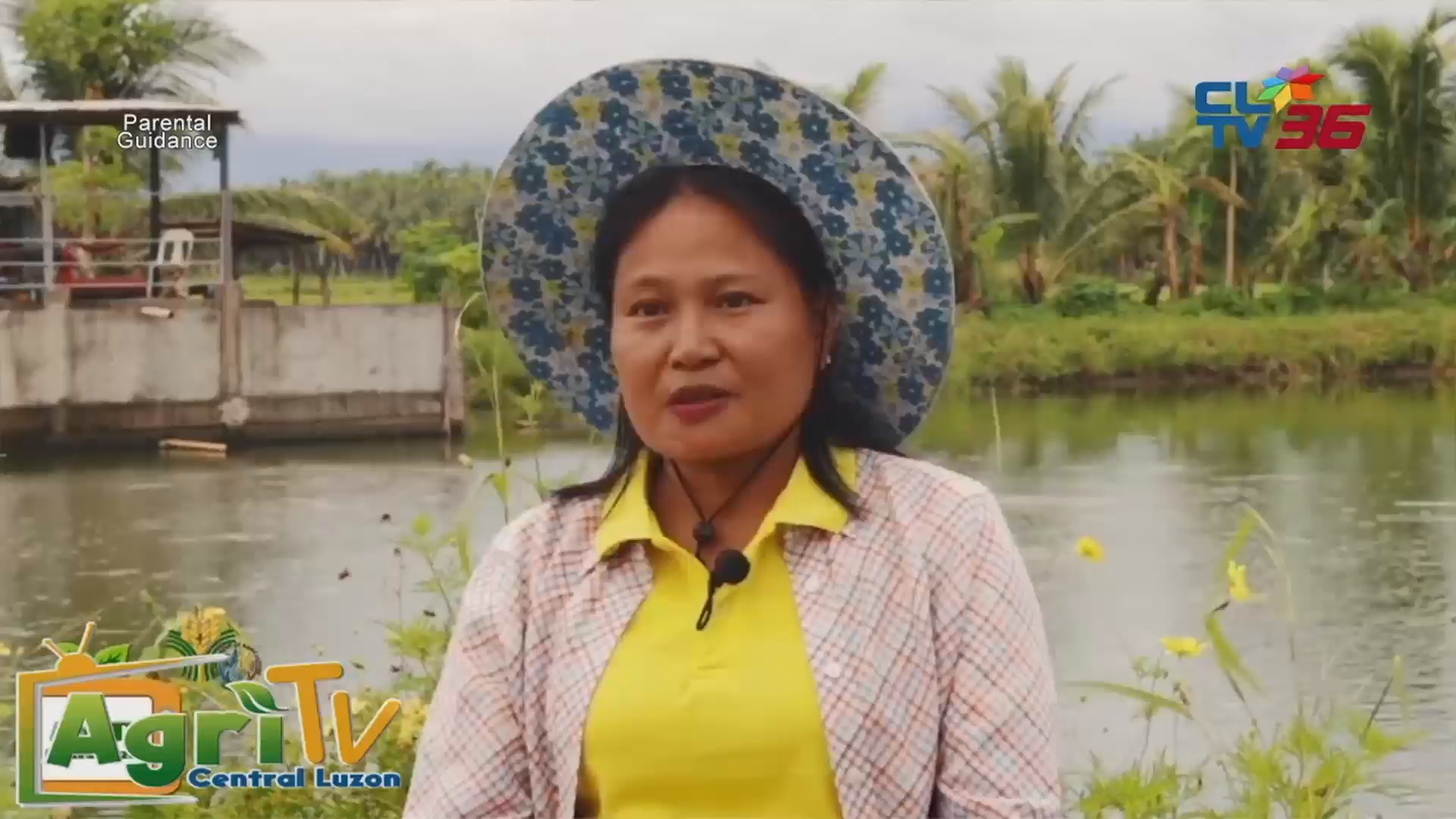 Watch CLTV 36