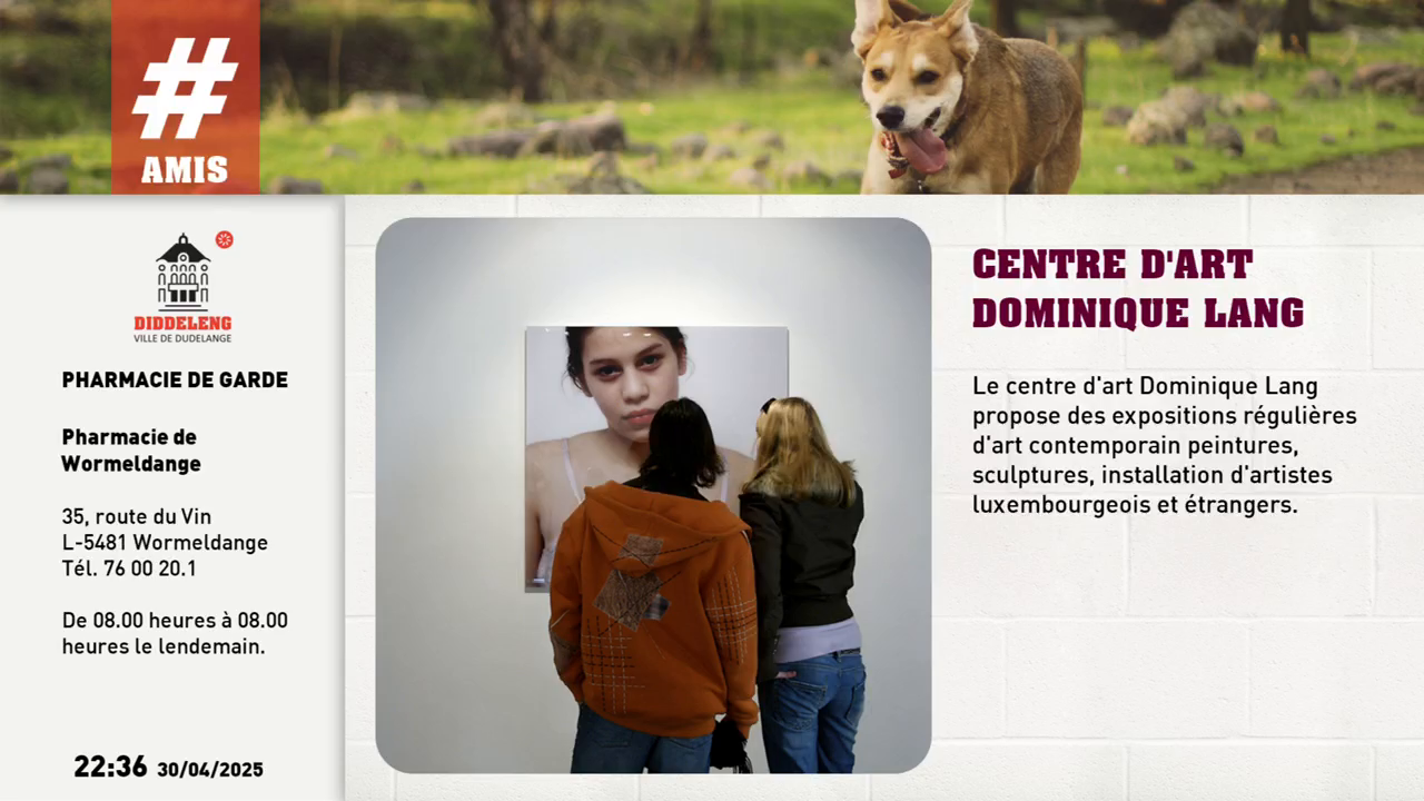 Watch Dudelange TV